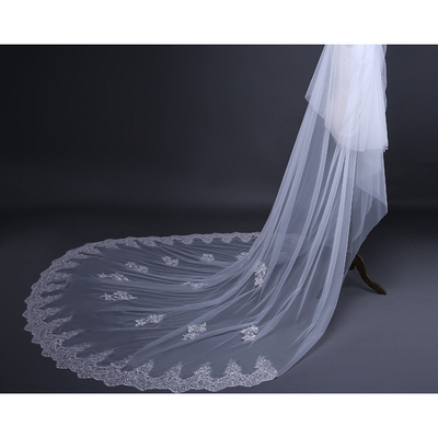 Stunning Royal Chantilly Lace Trim Cathedral veil